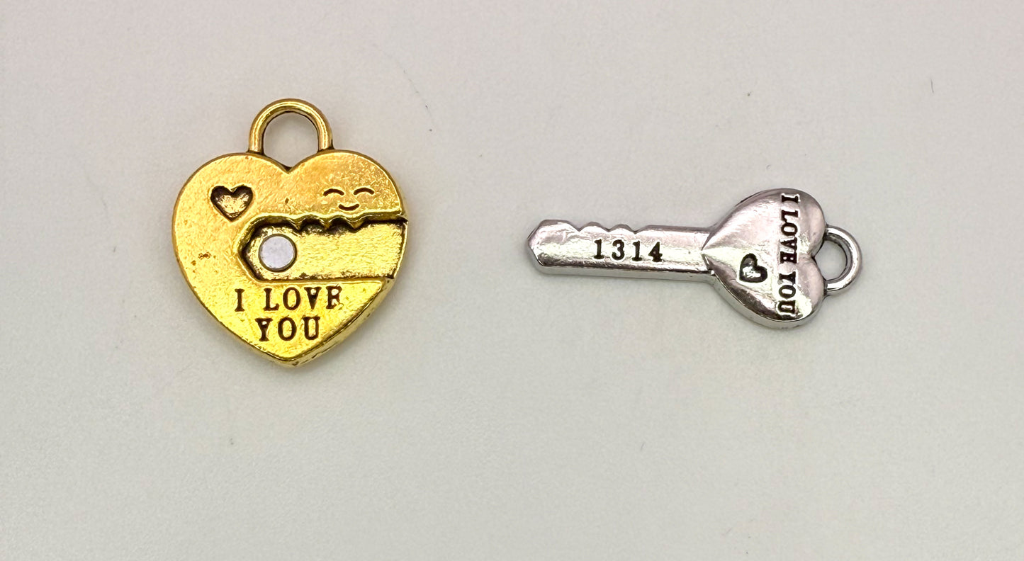 Gold/Silver & Red/Gold Magnetic DIY Charm set