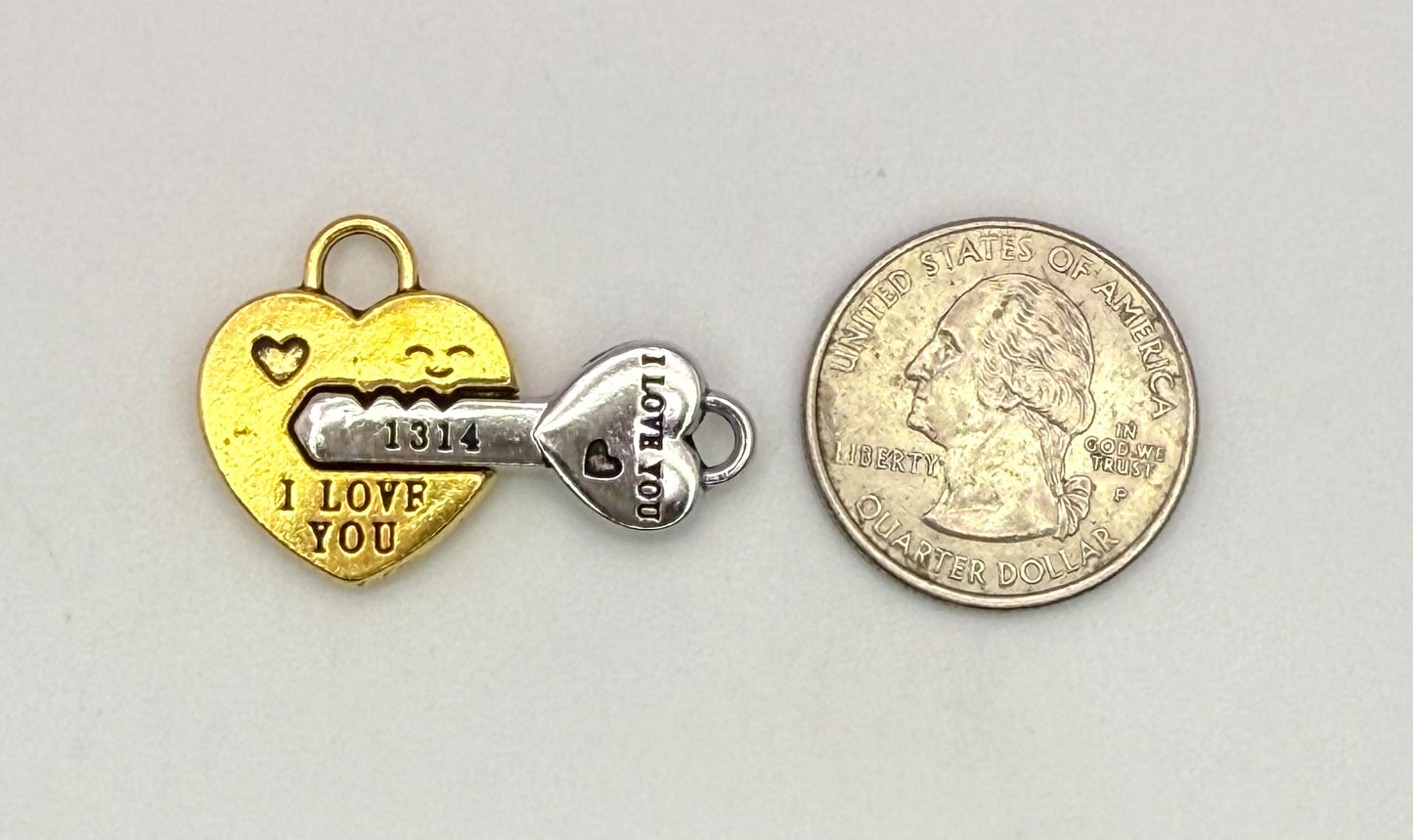 Gold/Silver & Red/Gold Magnetic DIY Charm set