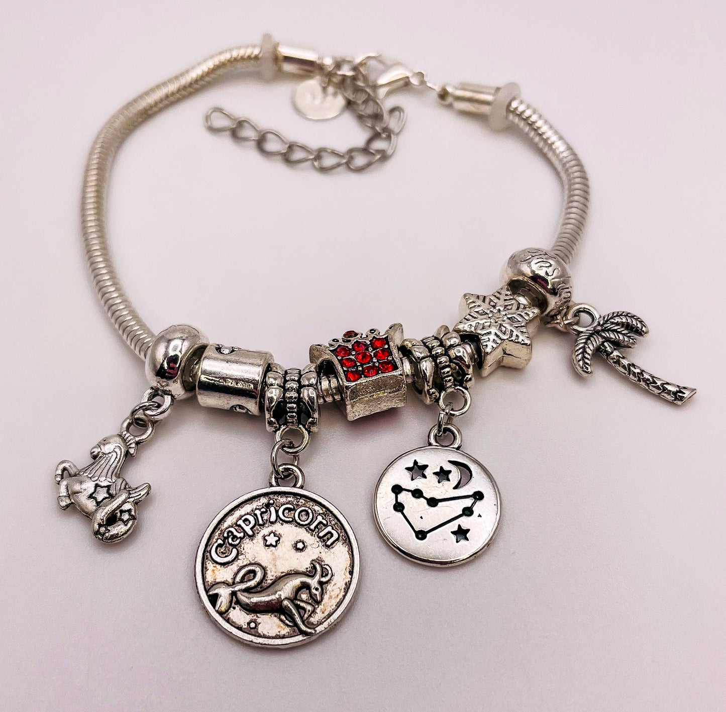 Capricorn Sterling Silver Snake Charm Zodiac Bracelet