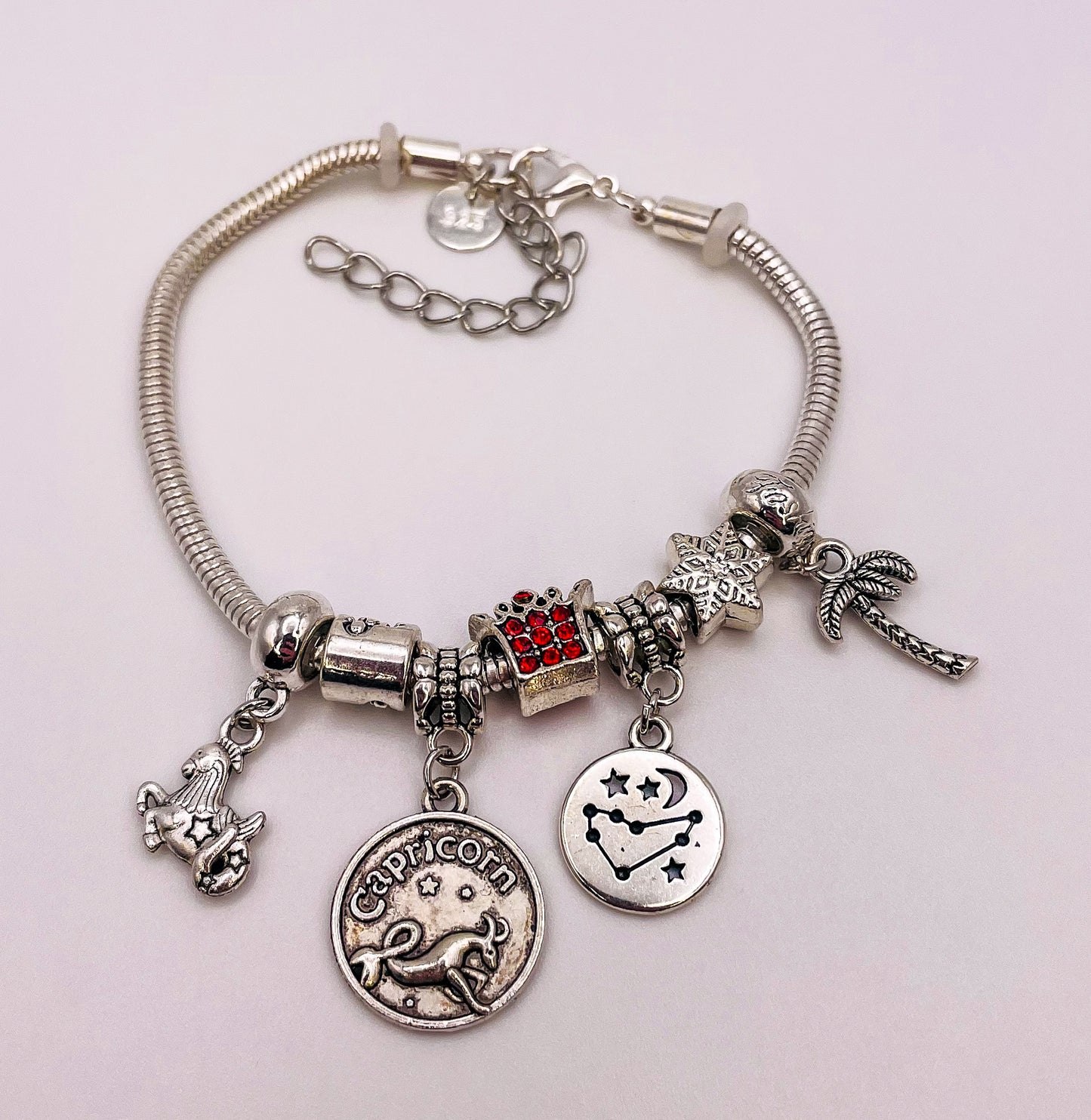 Capricorn Sterling Silver Snake Charm Zodiac Bracelet