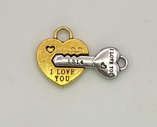 Gold/Silver & Red/Gold Magnetic DIY Charm set